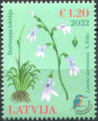 Латвия. 2022. Водная лобелия (Lobelia dortmanna) (Почтовая марка. MNH OG)