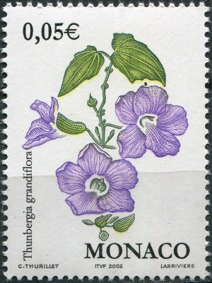 Монако. 2002. Тунбергия крупноцветковая (Thunbergia grandiflora) (Почтовая марка. MNH OG)
