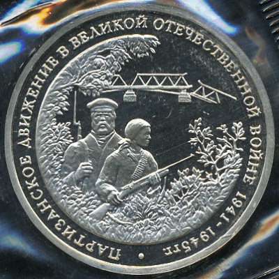 Партизанское движение в Великой Отечественной войне (Proof)