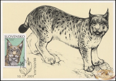 Словакия. 2001. Рысь (Картмаксимум. M)