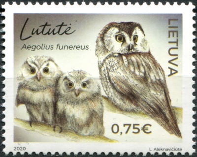 Литва. 2020. Мохноногий сыч (Aegolius funereus) (Почтовая марка. MNH OG)