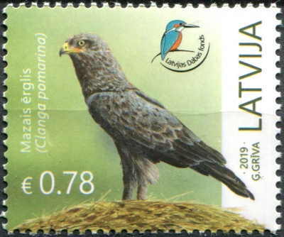 Латвия. 2019. Малый подорлик (Clanga pomarina) (Почтовая марка. MNH OG)