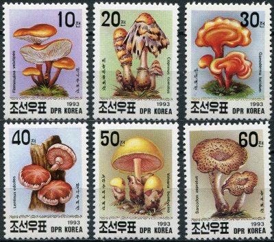 КНДР. 1993. Грибы (Серия Почтовых марок. MNH OG)