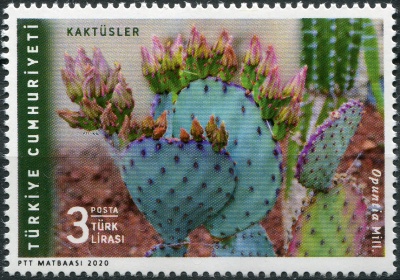 Турция. 2020. Кактусы. Опунция (Opuntia sp) (Почтовая марка. MNH OG)