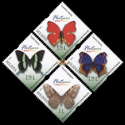 Молдова. 2013. Экзотические бабочки (Серия. MNH OG)