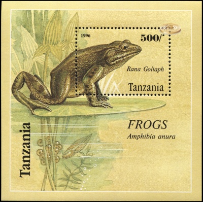 Танзания. 1995. Лягушка-Голиаф [Rana goliath] (Блок. MNH OG)