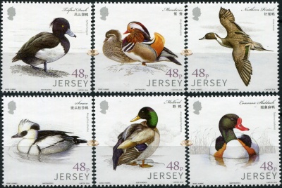 Джерси. 2016. Водоплавающие птицы (Серия. MNH OG)