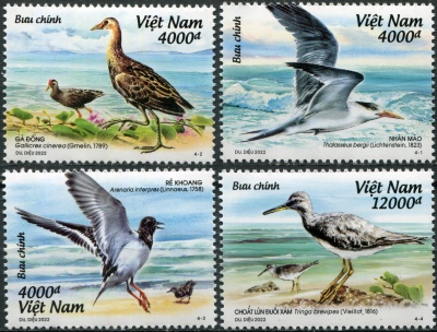 Вьетнам. 2022. Вьетнамские морские птицы (Серия Почтовых марок. MNH OG)