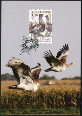 Словакия. 2011. Большая дрофа (Картмаксимум. Мint)