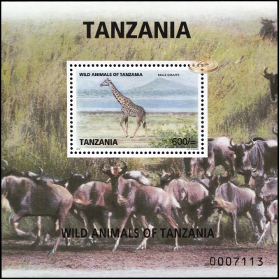Танзания. 2010. Жираф (Блок. MNH OG)