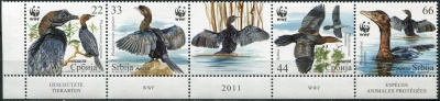Сербия. 2011. Малый баклан (Phalacrocorax pygmaeus) (Сцепка. MNH OG)