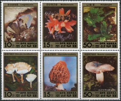 КНДР. 1986. Минералы и грибы (Сцепка. MNH OG)