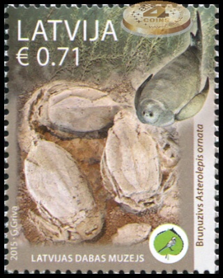 Латвия. 2015. Пластинокожие рыбы (Почтовая марка. MNH OG)