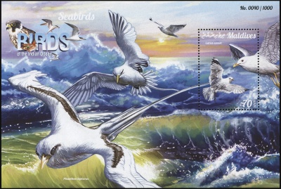 Мальдивы. 2015. Морские птицы (Блок. MNH OG)