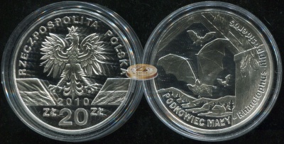 Польша. 20 злотых. 2010 (Proof. Серебро)
