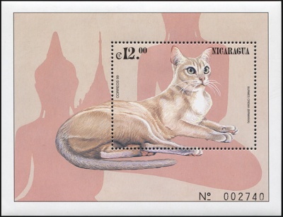 Никарагуа. 1999. Бурманская кошка (Блок. MNH OG)