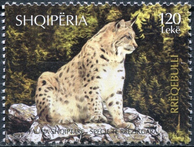 Албания. 2017. Обыкновенная рысь (Lynx lynx) (Почтовая марка. MNH OG)