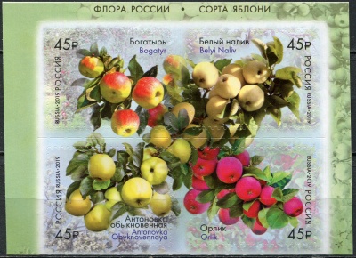 Россия. 2019. Флора России. Сорта яблок (Квартблок. MNH OG)