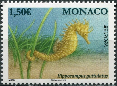 Монако. 2021. Длиннорылый морской конёк (Hippocampus guttulatus) (Почтовая марка. MNH OG)