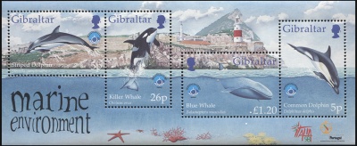 Гибралтар. 1998. Международный год Океанов (Блок. MNH OG)