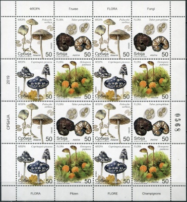 Сербия. 2019. Дикие грибы (Малый лист. MNH OG)