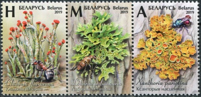 Беларусь. 2019. Лишайники (Сцепка. MNH OG)