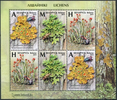 Беларусь. 2019. Лишайники (Почтовый блок. MNH OG)