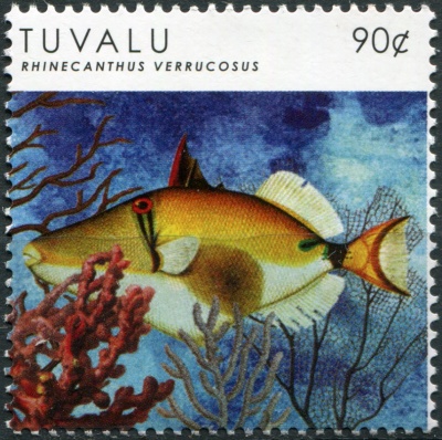 Тувалу. 2012. Рыбы. Чернопузый спинорог (Почтовая марка. MNH OG)