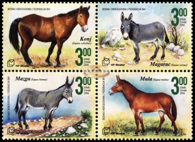 Босния и Герцеговина. 2014. Фауна 2014 (Квартблок. MNH OG)