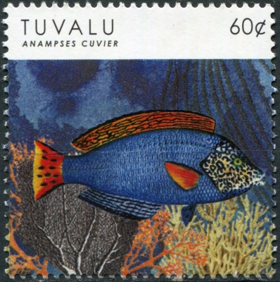 Тувалу. 2012. Рыбы. Жемчужный губан (Почтовая марка. MNH OG)