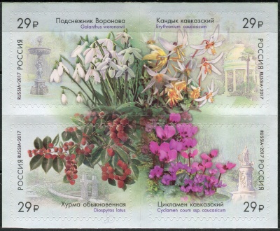 Россия. 2017. К 125-летию Сочинского парка «Дендрарий» (Квартблок. MNH OG)