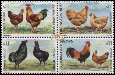 Уругвай. 2001. Домашняя птица. Куриные (Серия. MNH OG)