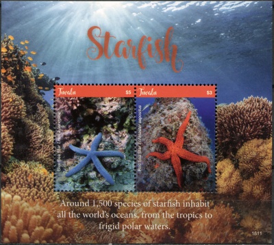 Тувалу. 2018. Морские звёзды (Блок. MNH OG)