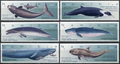 Намибия. 2019. Виды китов Намибии (Серия. MNH OG)