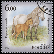 Россия. 2006. Якутская лошадь (Почтовая марка. CTO Гашеная)