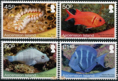 Остров Вознесения. 2013. Морская фауна Острова Вознесения (Серия. MNH OG)