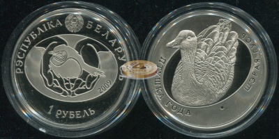 Беларусь. 1 рубль. 2009 (Proof)