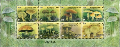 Иордания. 2010. Грибы (Малый лист. MNH OG)