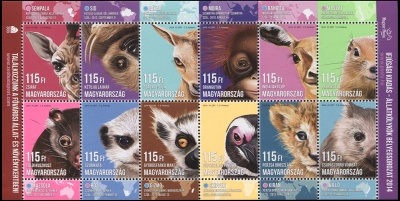 Венгрия. 2014. Детеныши животных (Малый лист. MNH OG)