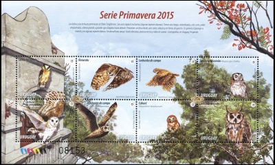 Уругвай. 2015. Филины и Совы (Малый лист. MNH OG)