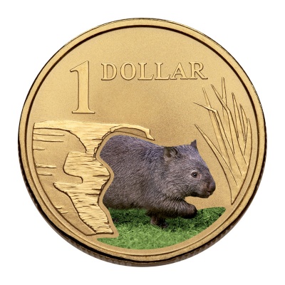 Австралия. 1 доллар. 2008. Вомбат. (Unc. Цветная эмаль)
