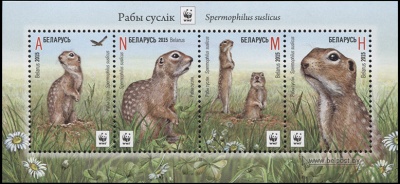 Беларусь. 2015. WWF. Защита животных. Крапчатый суслик (Малый лист. MNH OG)