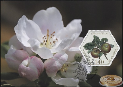 Лихтенштейн. 2015. Яблоки (Серия картмаксимумов. M)
