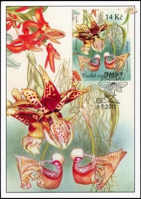 Чехия. 2012. Красота орхидей [Stanhopea tigrina a Coryanthes feildingii] (Картмаксимум. M)