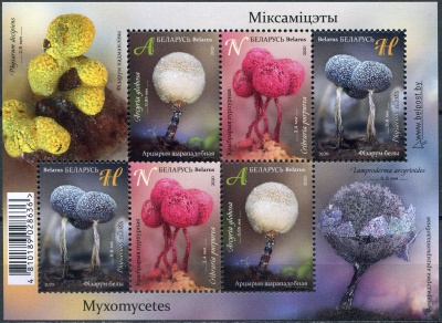 Беларусь. 2020. Миксомицеты (Почтовый блок. MNH OG)