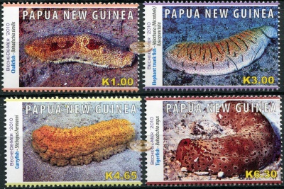 Папуа Новая Гвинея. 2010. Трепанги (Серия. MNH OG)