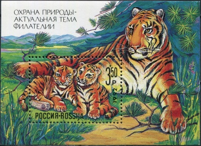 Россия. 1992. Амурский тигр (Panthera tigris altaica) (Блок. MNH OG)