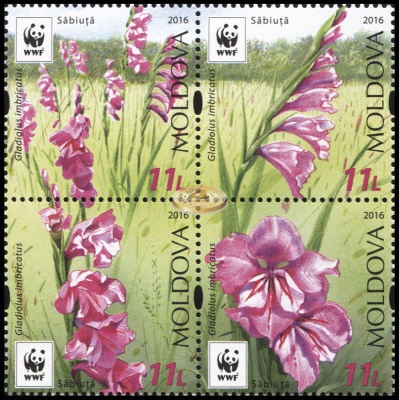 Молдова. 2016. Охраняемая Флора. Гладиолус (Квартблок. MNH OG)