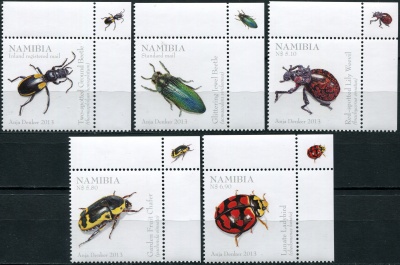 Намибия. 2013. Жуки Намибии. Правый верхний угол (Серия. MNH OG)