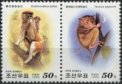 КНДР. 2000. Обезьяны со всего мира (Сцепка. MNH OG)